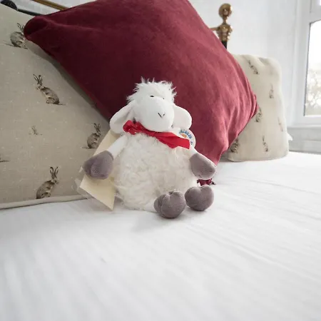 Glenville House - Adults Only - Incl Free Off-site Health Club With Swimming Pool, Hot Tub, Sauna & Steam 4*