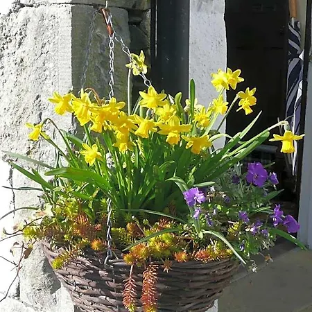 Glenville House - Adults Only - Incl Free Off-site Health Club With Swimming Pool, Hot Tub, Sauna & Steam 4* Bowness-on-Windermere