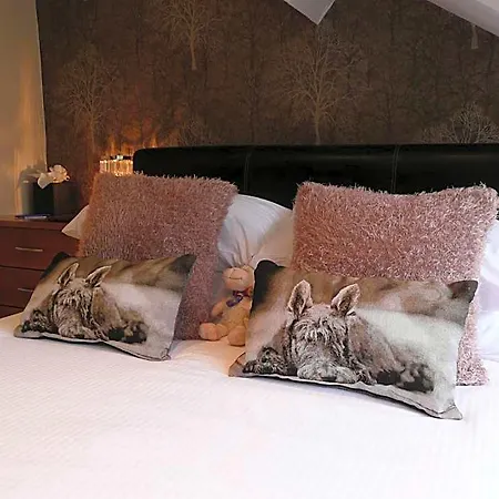 Glenville House - Adults Only - Incl Free Off-site Health Club With Swimming Pool, Hot Tub, Sauna & Steam 4*