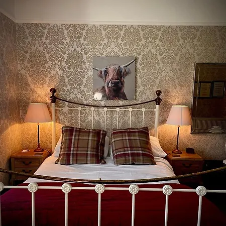 Guest house Glenville House: Adults-only Retreat With Health Club Access Bowness-on-Windermere