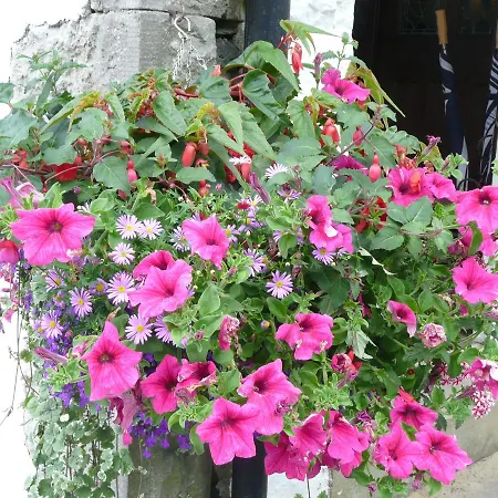 Glenville House: Adults-only Retreat With Health Club Access Guest house 4*